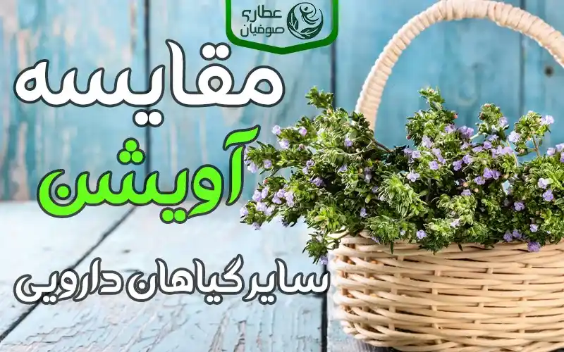 مقایسه آویشن با سایر گیاهان دارویی برای سرماخوردگی