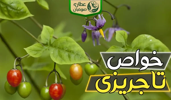 خواص تاجریزی