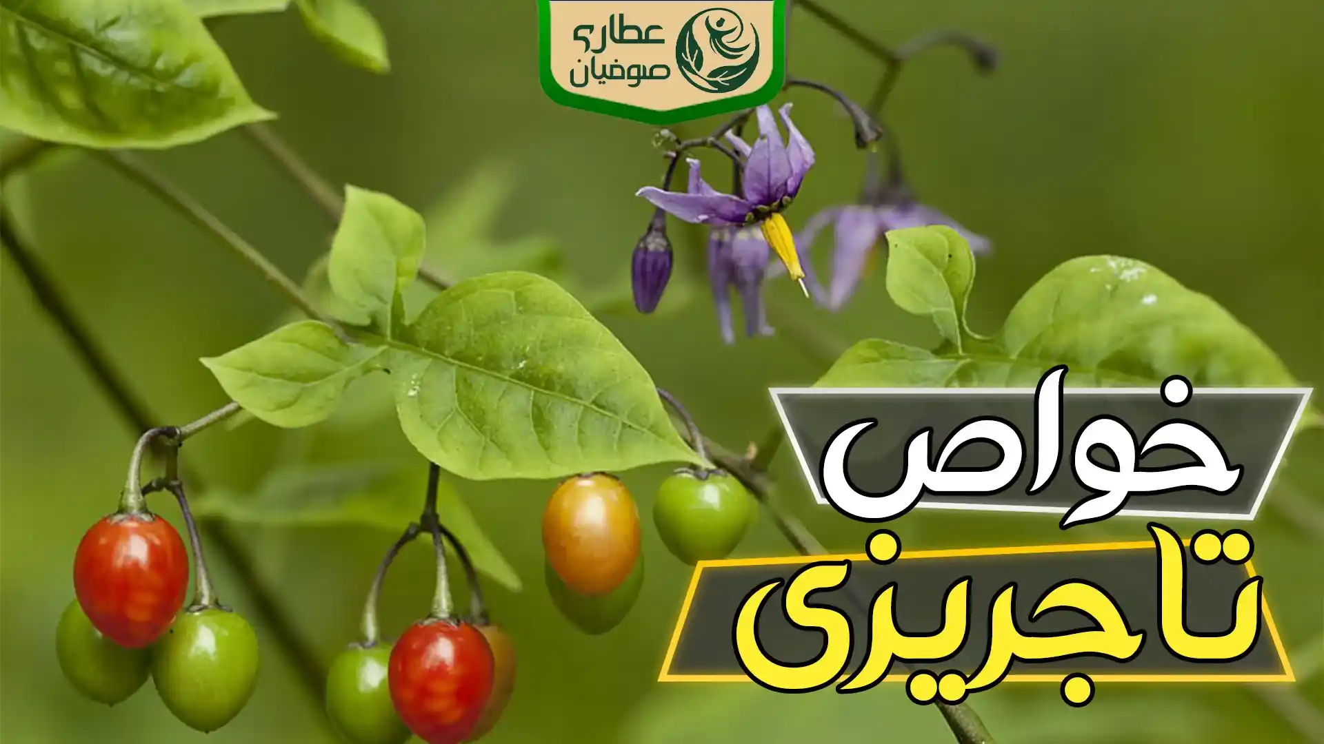 خواص تاجریزی