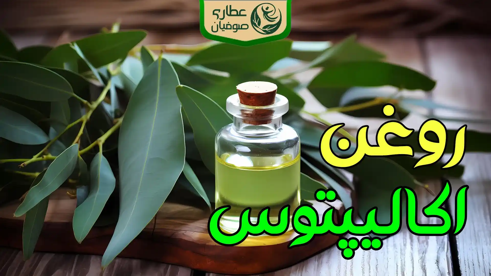 روغن اکالیپتوس