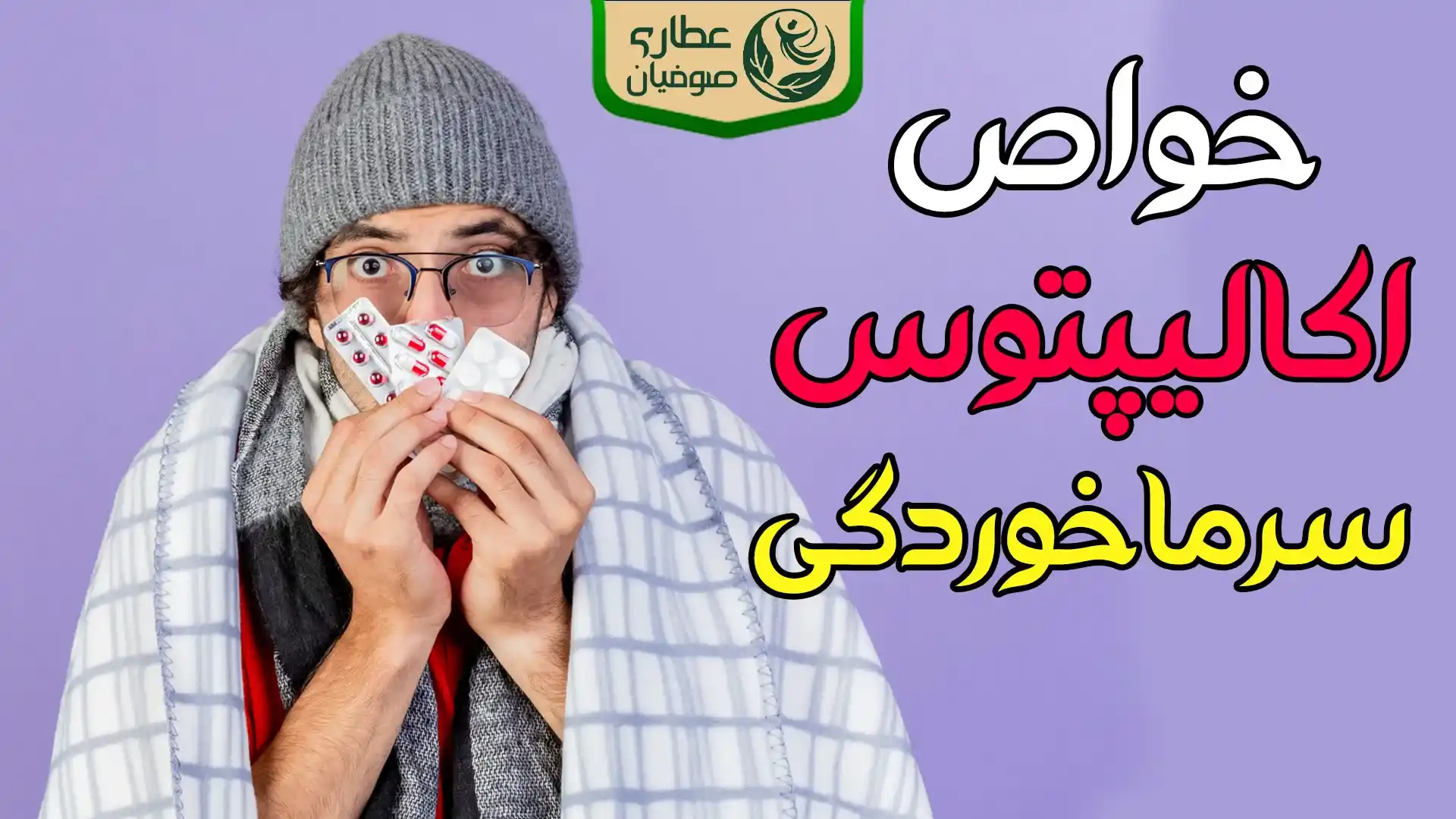 خواص اکالیپتوس برای سرماخوردگی