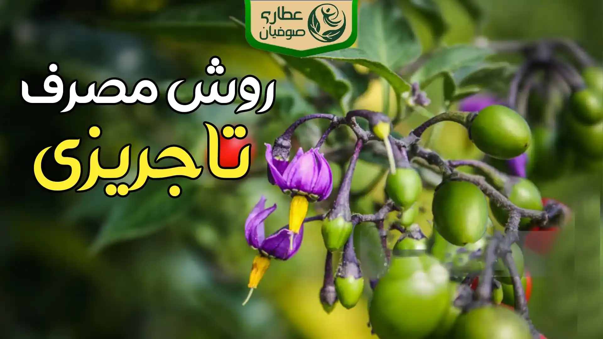 روش مصرف تاجریزی