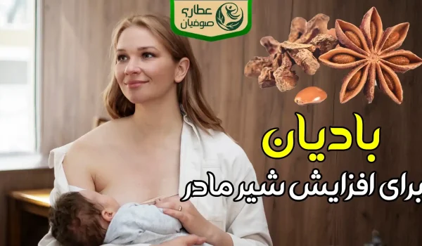 بادیان برای افزایش شیر مادر