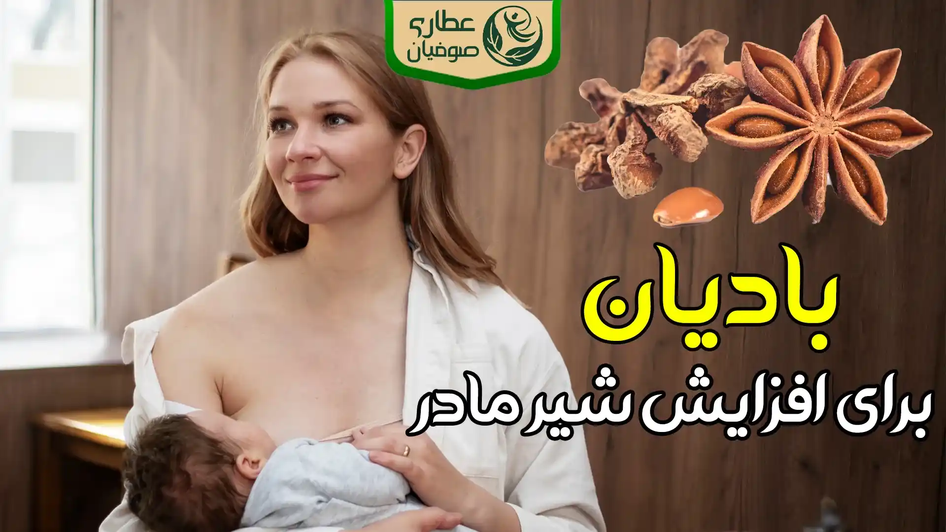 بادیان برای افزایش شیر مادر