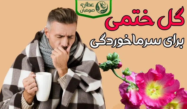 گل ختمی برای سرماخوردگی