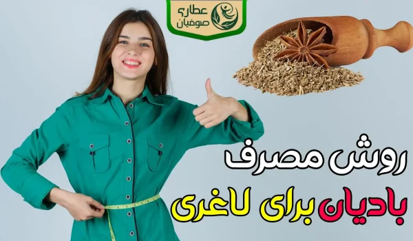 طریقه مصرف بادیان برای لاغری