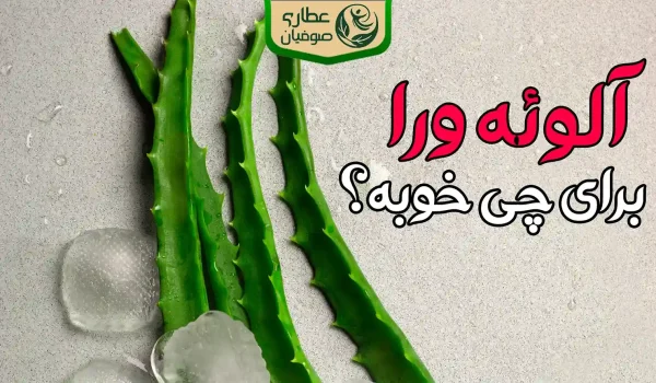 خواص آلوئه ورا برای چی خوبه
